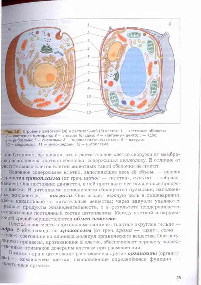 Учебник Биология 7 класс Константинов Бабенко читать онлайн